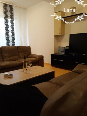 Гостиница Apartman Lana  Баня-Ковиляча
